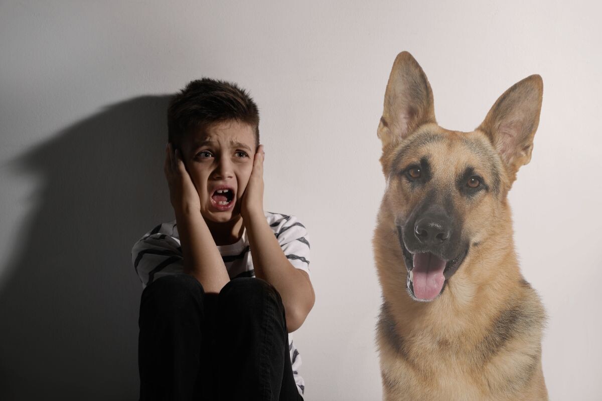 Кинофобия — боязнь собак 