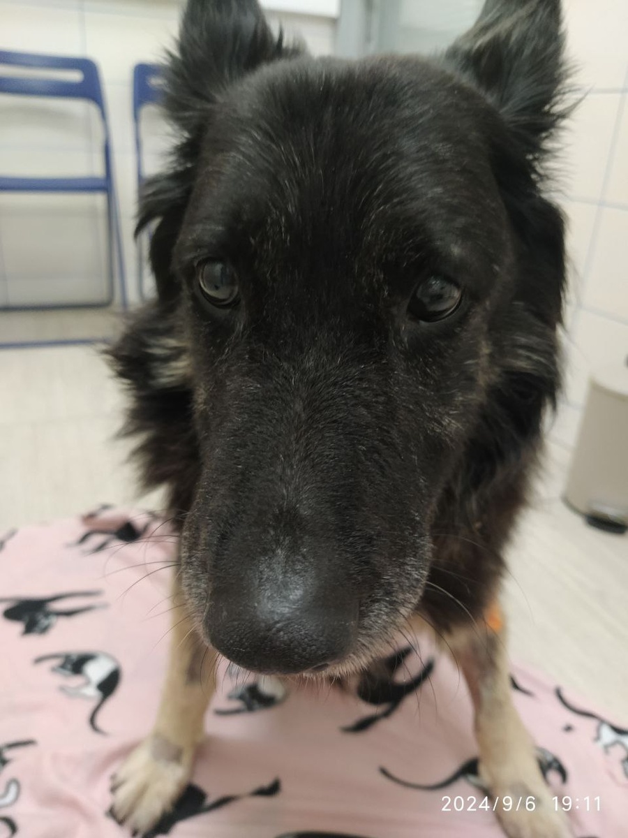 История Зайки начиналась очень печально, а продолжение могло быть совсем ужасным, если бы на пути не оказались настоящие Люди.