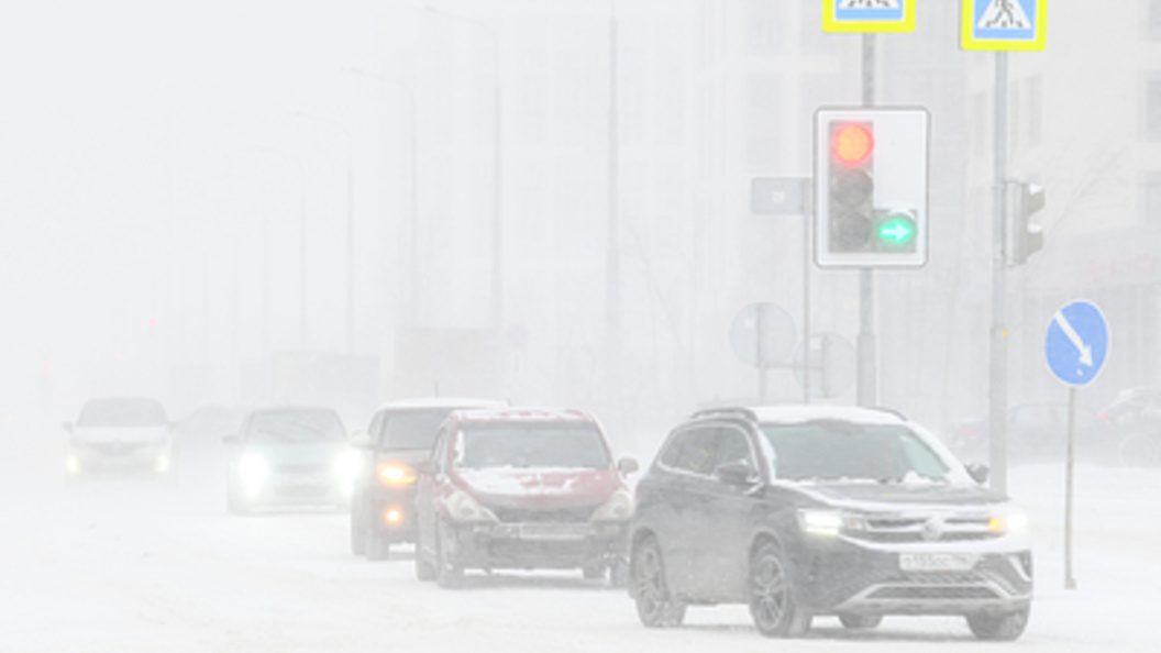    Фото: Ilya Moskovets/Globallookpress.