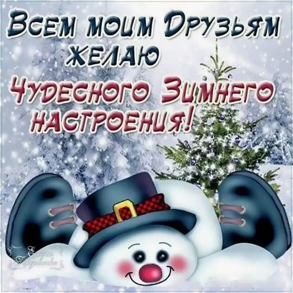 Фото из сети Интернет