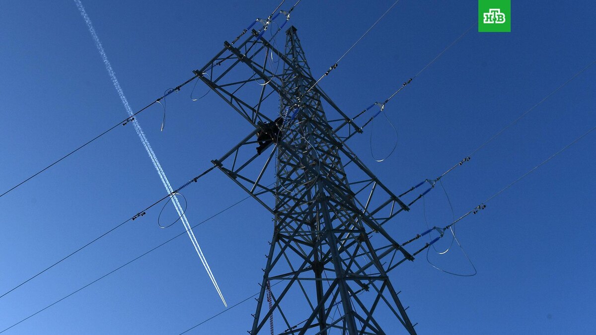    Фото: РИА Новости © 2024, Илья Наймушин