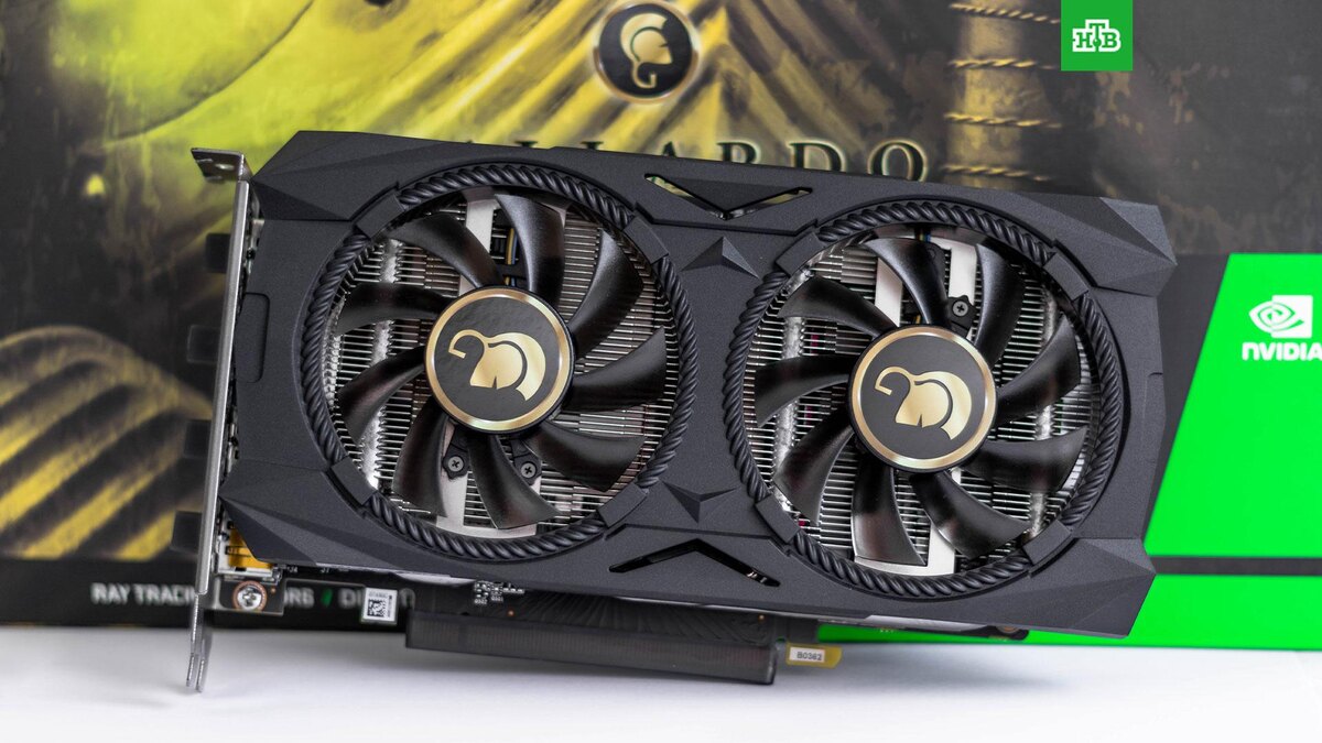    Фото: Christian Wiediger / unsplash.com