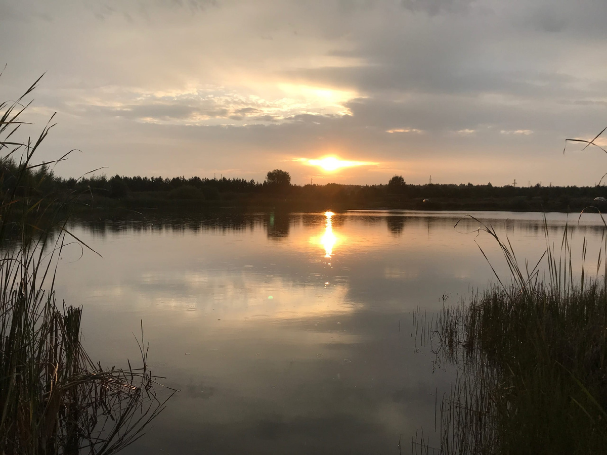 комаровский пруд, красивый закат
