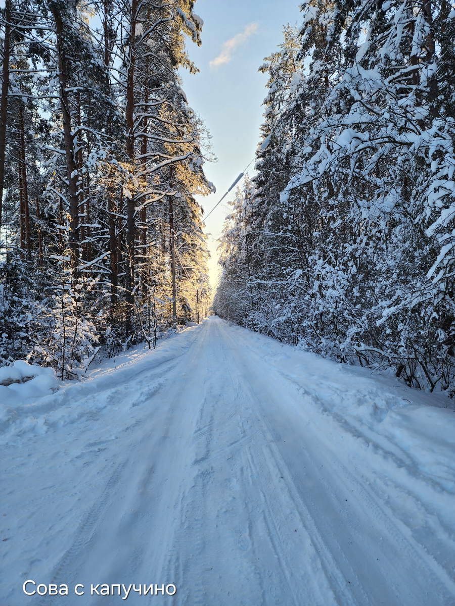 Чуть-чуть зимнего настроения. Снег прошлогодний. В этом году в Петербурге пока снега нет. За городом только немножко.