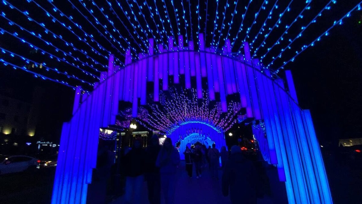    Фото: телеканал «Краснодар»