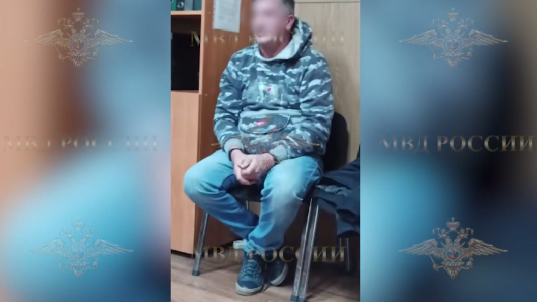    Фото: скрин видео ГУ МВД России.