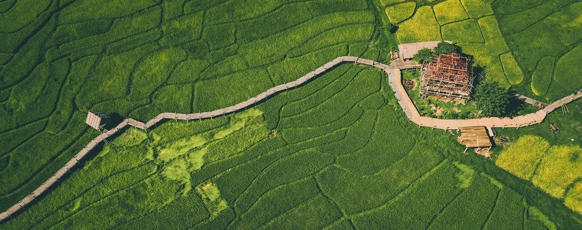 @lemaret pierrick/Shutterstock