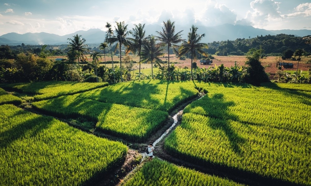 @RachenArt/Shutterstock