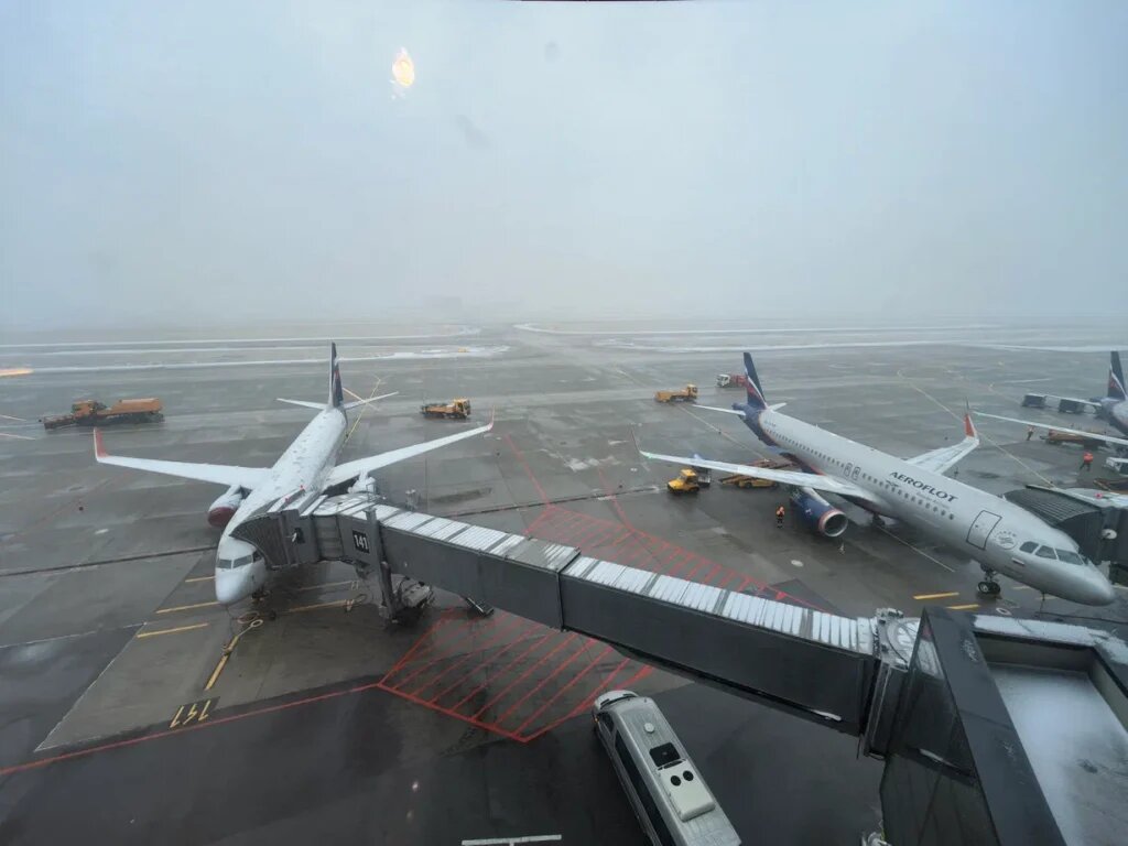 Утренний вид из «Малевича»  📷
