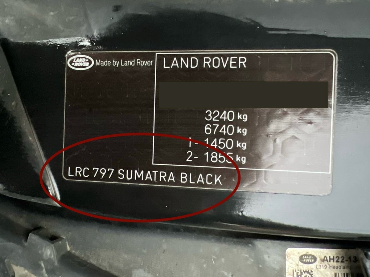 Фото: Екатерина Николаева