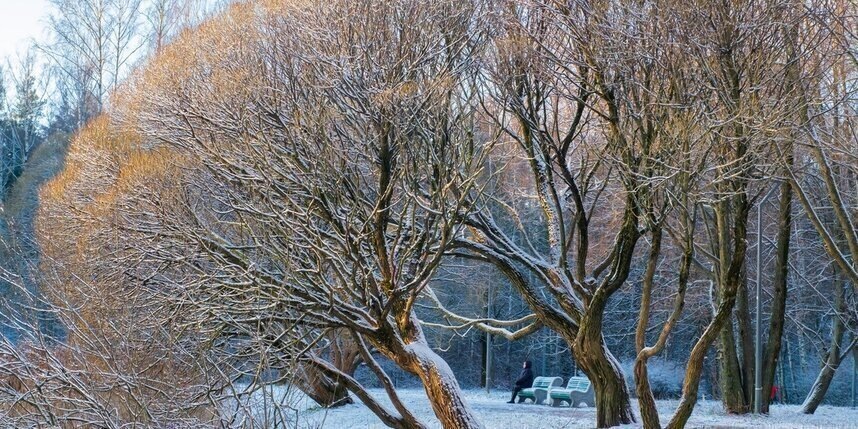    Алена Бобрович