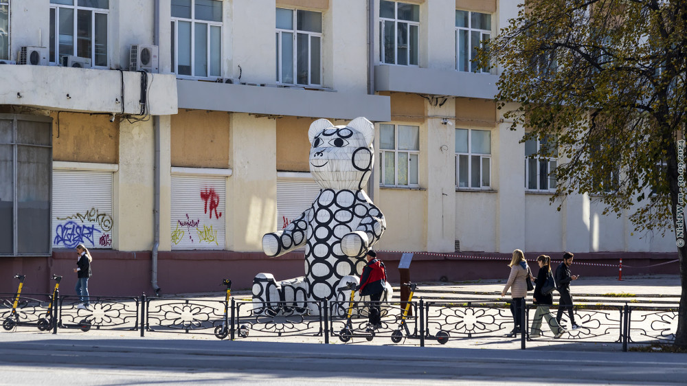 Медведь Гриша в Екб... © NickFW.ru — 30.09.2024г.