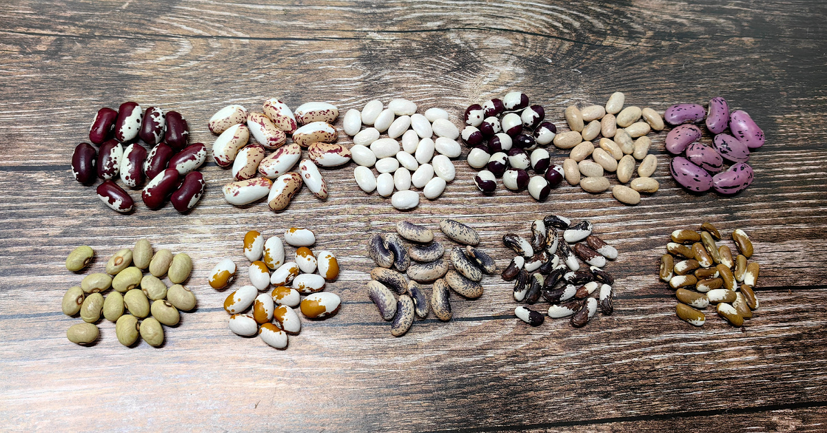 верхний ряд вьющаяся, нижний кустовая фасоль