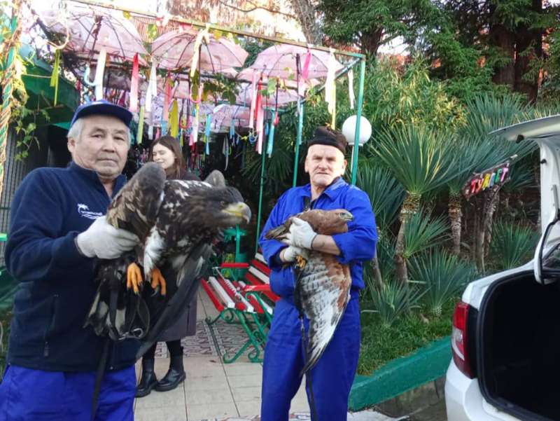    Фото: пресс-служба УВД Сочи