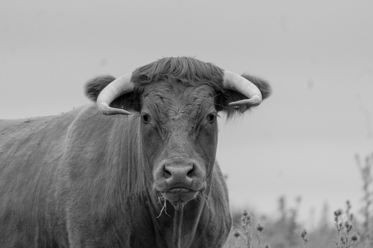 Фото: Michael Starkie / Unsplash