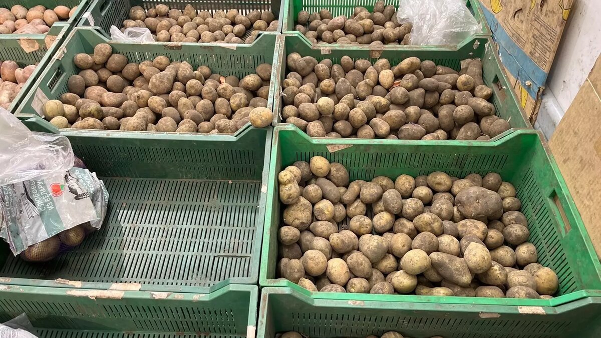     Источник: newstracker.ru