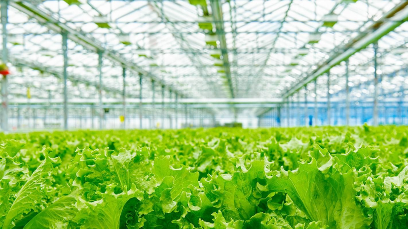    Пресс-служба Департамента инвестиционной и промышленной политики города Москвы