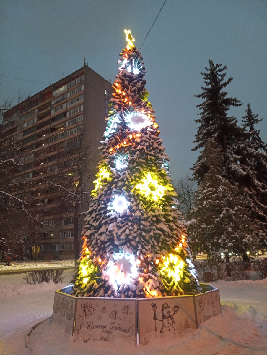 Кругом уже елки...