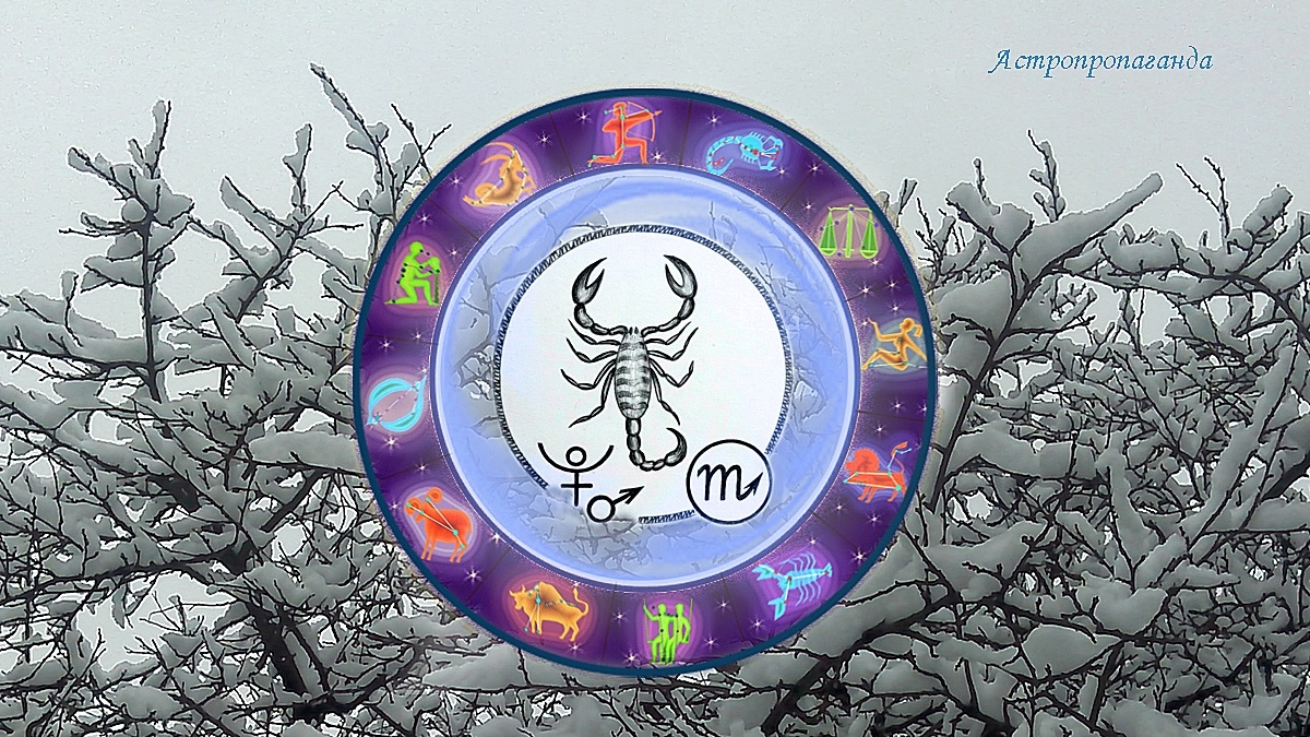 Знак Скорпиона: гороскоп на декабрь 2024. Гороскоп для Скорпиона со 2 по 29 декабря 2024. 