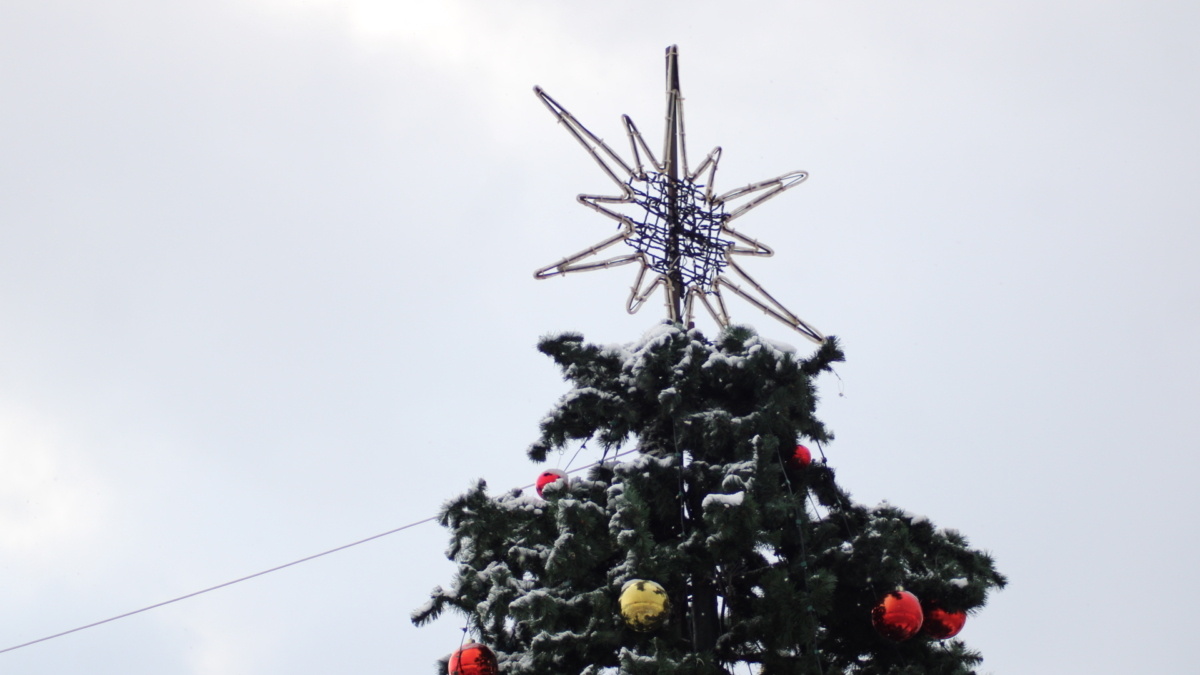 ИА «Тульская пресса»📷
