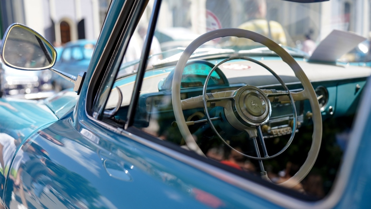 Светлана Мулыкина📷
