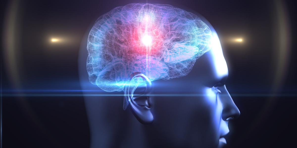 © thetidenewsonline.com