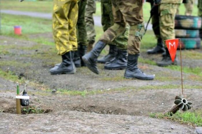 Источник фото: © «Панорама»
