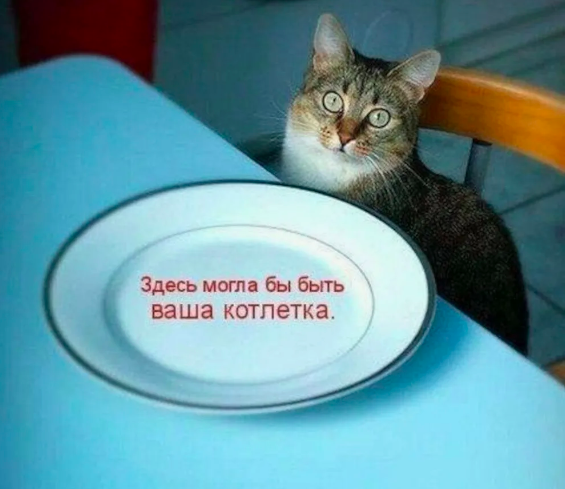 источник Яндекс-картинки