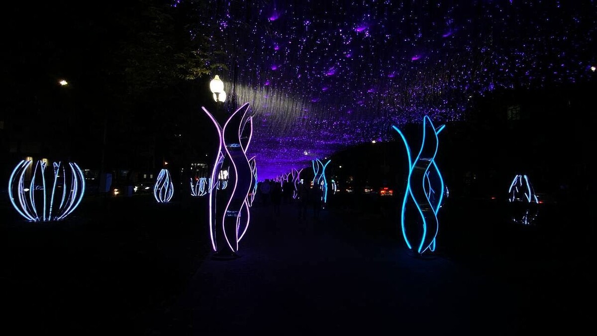    Фото: телеканал «Краснодар»