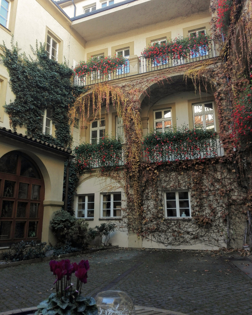 Двор Bistro Loreta