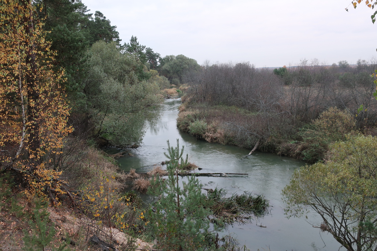 По песку струится Шерна, плещет мутный вал (фото И.Лебединского)