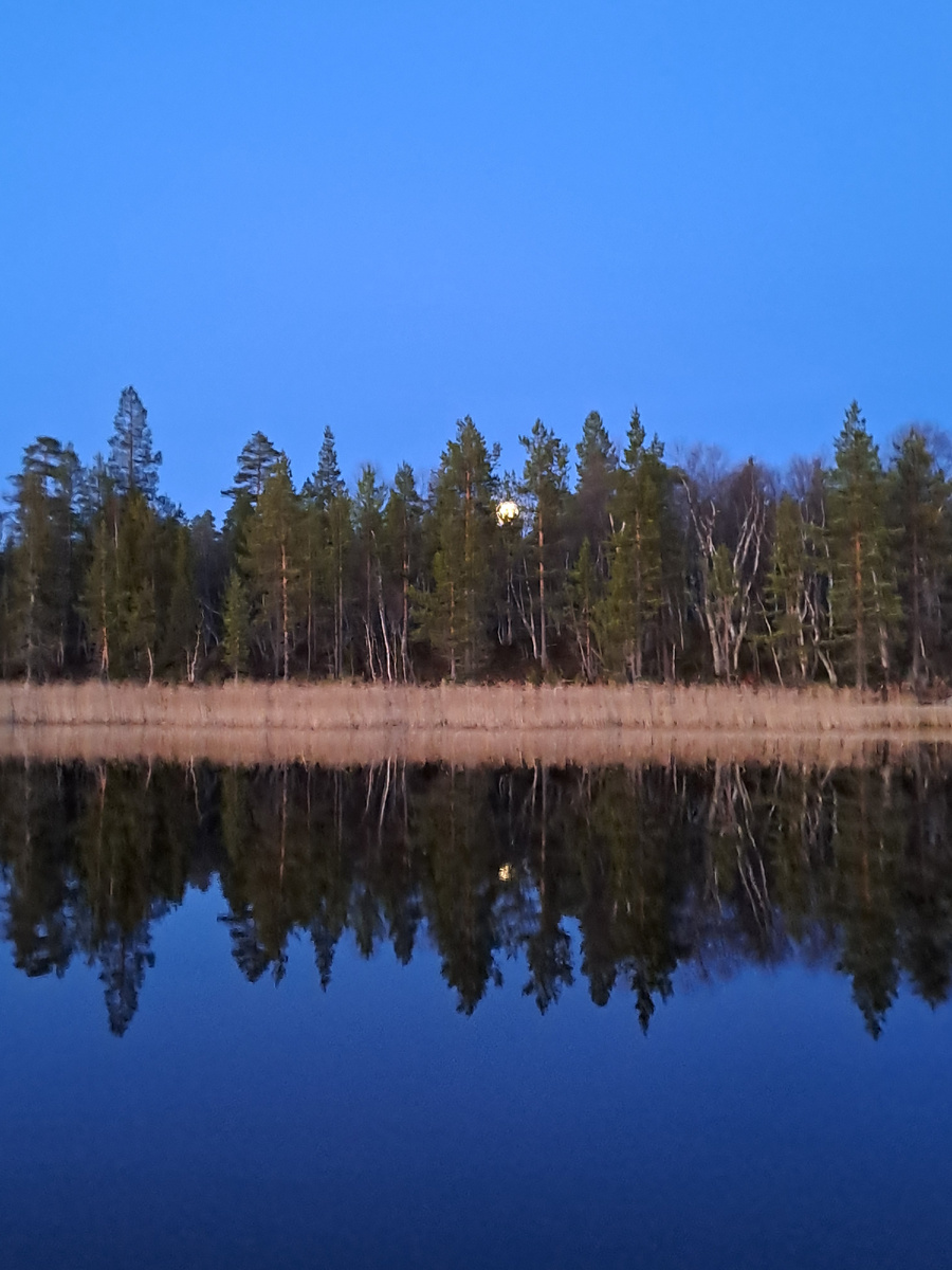 Симметрия нежданной красоты 