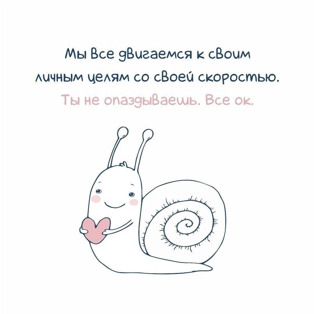 Вместо вступления. 