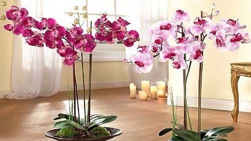 Фото с pinterest.com