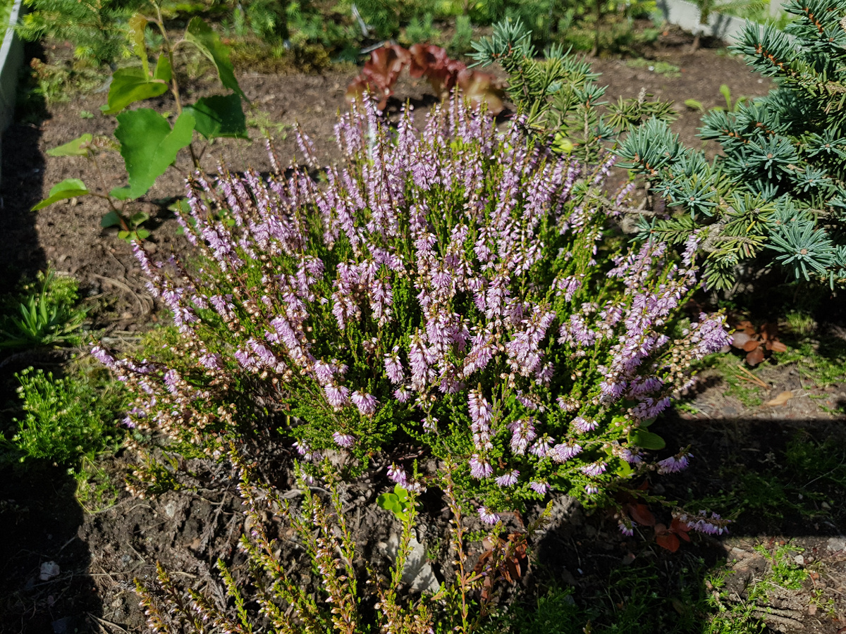 4 августа 2021 г.