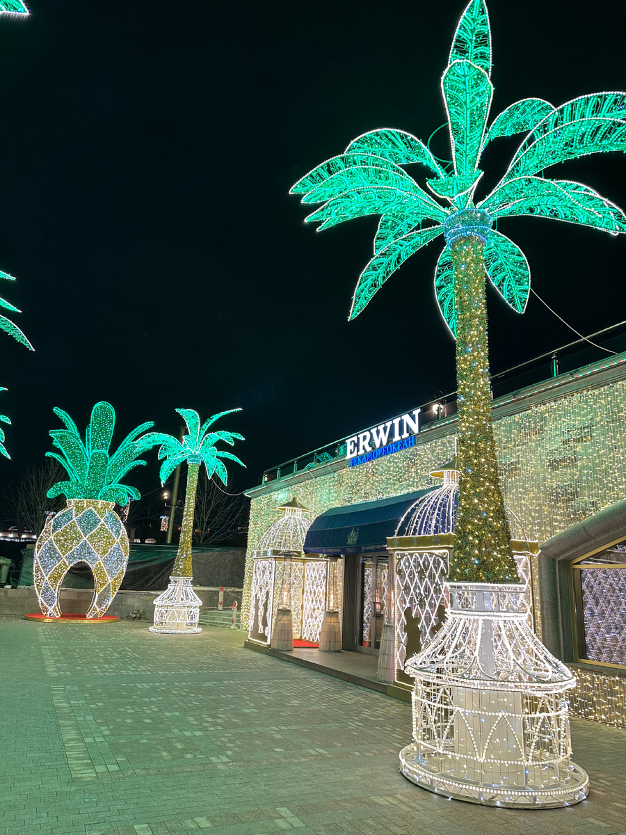 Входная группа ресторана ERWIN