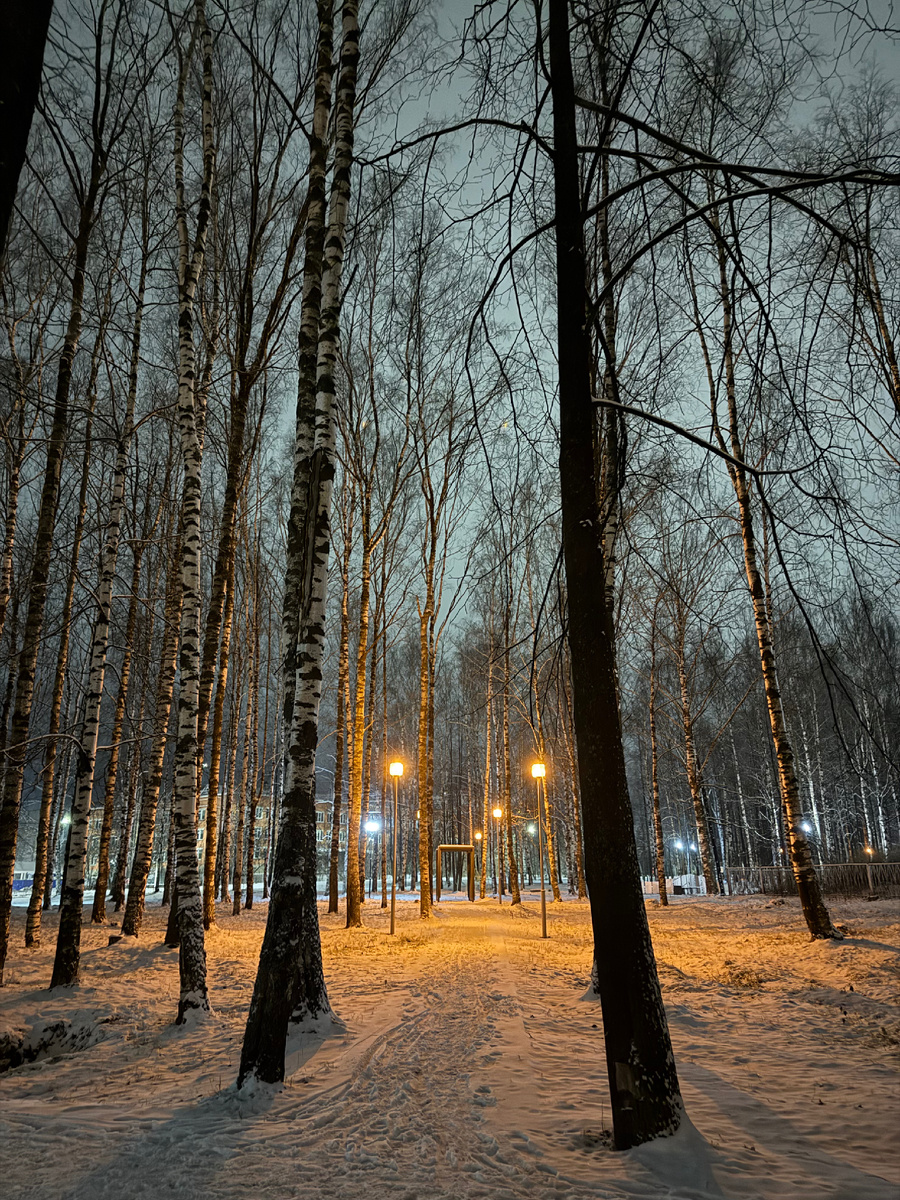 Фото автора