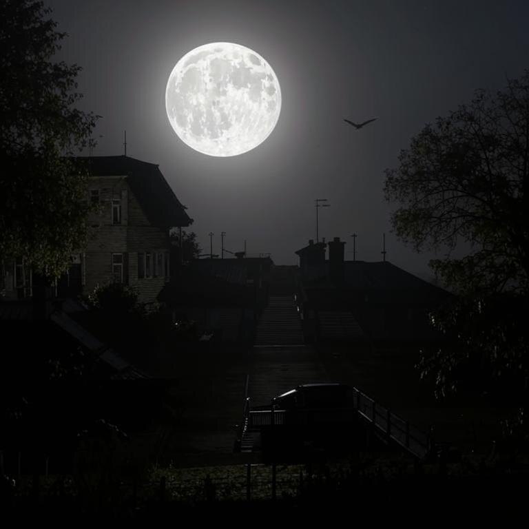 Такого никто не ожидал. 