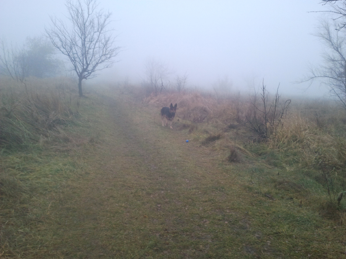 Фото автора