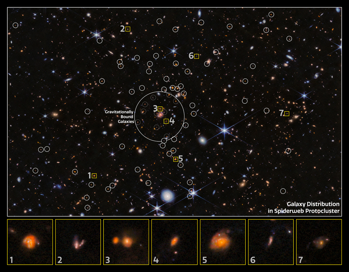 На этом изображении показано распределение галактик в протокластере Паутина, в центре изображения отмечена совокупность гравитационно связанных галактик. Некоторые из этих галактик отмечены жёлтыми квадратами и показаны крупным планом в нижней части изображения. Credit: ESA/Webb, NASA & CSA, H. Dannerbauer.