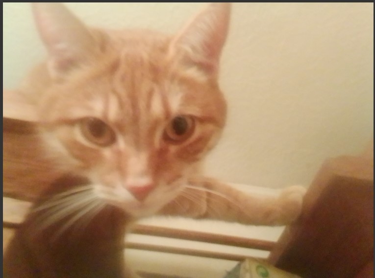 Личное   фото