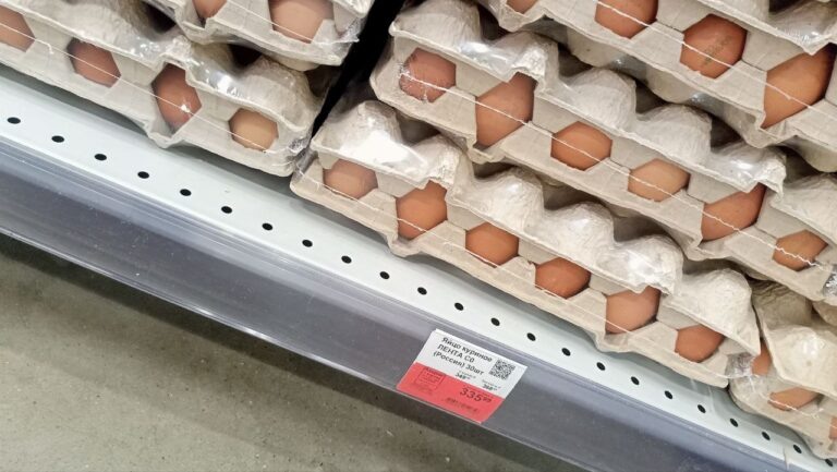    Фото: Вести Московского региона/ Анфиса Слепцова Анастасия Давыдова