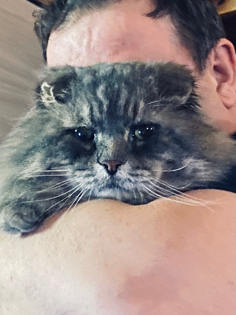 Хозяева, все-таки вы меня обманываете! Что-то здесь не так!