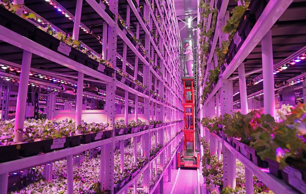 © Александр Щербак/ТАСС
