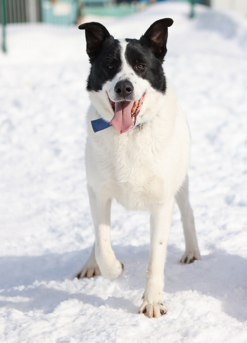 Вы меня, конечно, простите, но я уже 5 лет бороздю просторы интернета. 