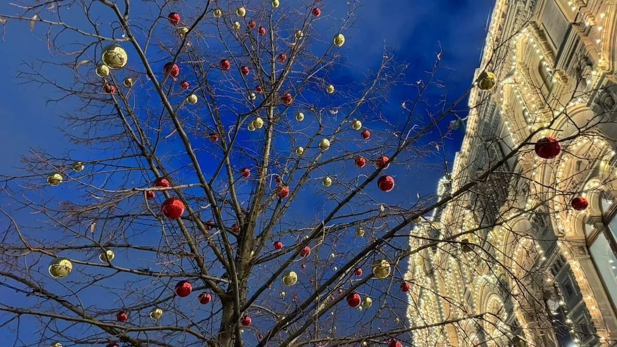 Фото: SterlitamakTime.ru / OOO «Уфатайм»