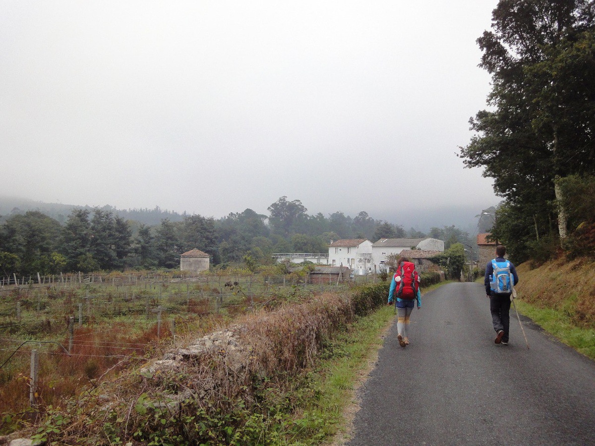 Теперь нас больше