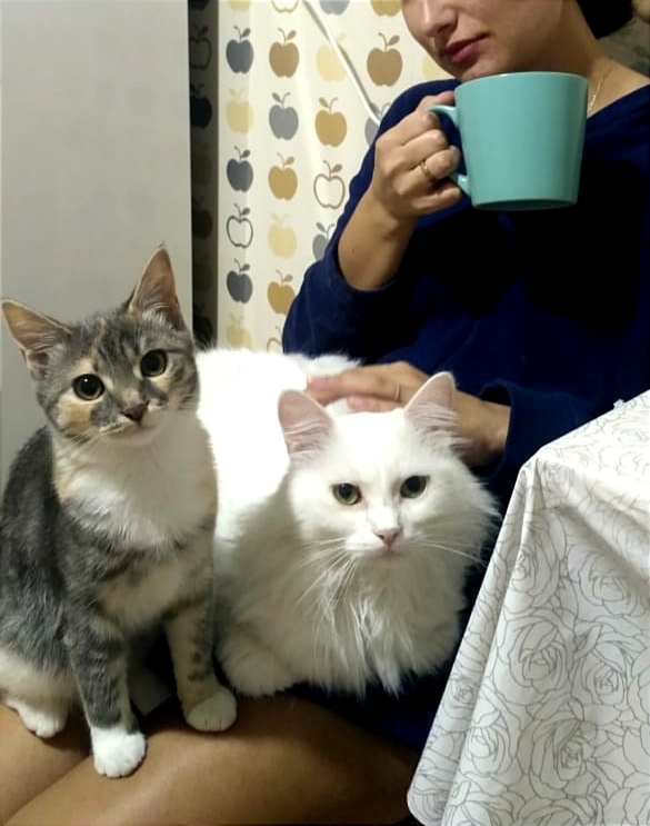 Кокосик очень счастлив, сразу видно 😀