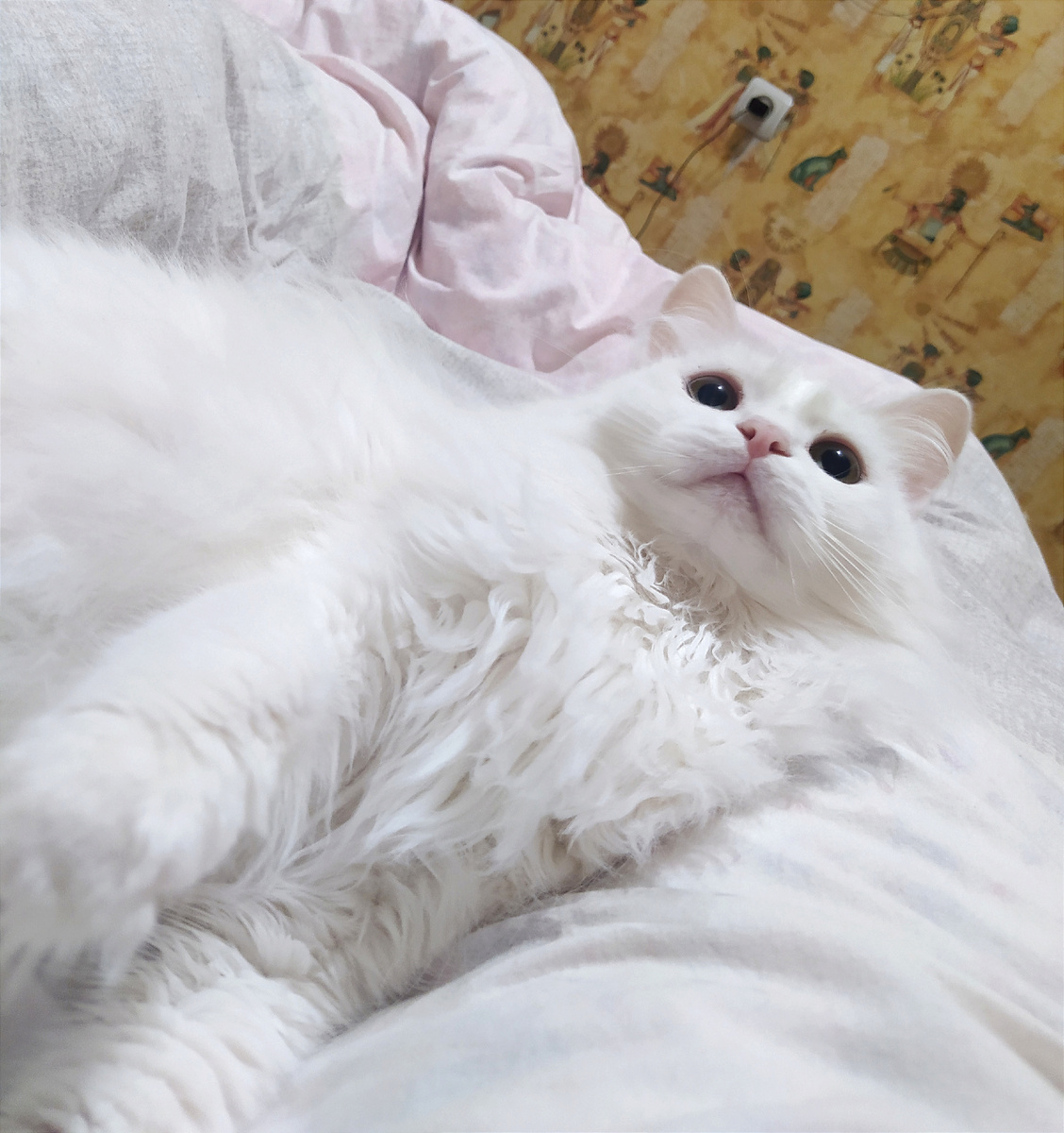 Наш красавчик 🤍