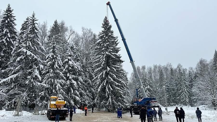 ФОТО: Ксения Солдатова/ Известия